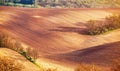 Abstract pattern texture of rolling wavy fields in spring. Spring arable land Royalty Free Stock Photo