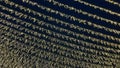 Abstract pattern of thousands of warm white string lights creating brilliant diagonal lines against the dark night sky Royalty Free Stock Photo