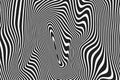 Abstract pattern wavy curve lines ripple black white lines vector background Royalty Free Stock Photo