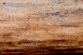 Abstract pattern in wood, caused by bark beetles under the bark of a tree trunk Royalty Free Stock Photo