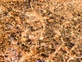 Abstract patterned gold surface water