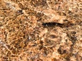 Abstract patterned gold surface water