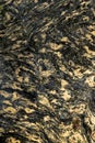 Abstract patterns formed by large amounts of pollen on water Royalty Free Stock Photo