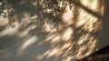 Sunlight dappling through leaves casting abstract shadows on a wall Royalty Free Stock Photo