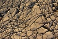 Abstract patterns in limestone on the beach of Mali LoÃÂ¡inj Royalty Free Stock Photo