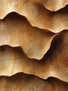 Abstract patterns mimicking the fibrous texture of collagen with organic layers, intricate weaving