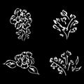 Abstract peonies and roses isolated on black background. Hand drawn floral collection. 4 floral graphic elements. Big vector set. Royalty Free Stock Photo