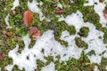 Abstract phot from the fallen first snow on the ground.