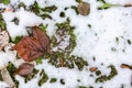 Abstract phot from the fallen first snow on the ground.