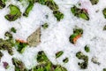 Abstract phot from the fallen first snow on the ground.