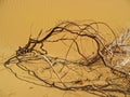 Abstract photo of a dry shrub laying on sand of desert Royalty Free Stock Photo