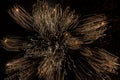Abstract photo of firework flower.