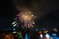 Abstract photo of firework flower. Salute without focus.