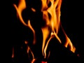 abstract photo of flames, isolated on black background.