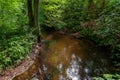 Abstract photo of a forest landscape with a flowing stream. Forest stream, river bed. Royalty Free Stock Photo