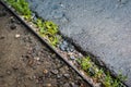 Wet asphalt and grass