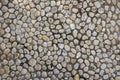 Abstract photo texture of pebble paving, top view background. White pebbles in grey sand top view. Rounded marble paving Royalty Free Stock Photo