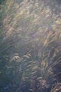 Abstract photography with outsole on grass and leaves