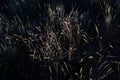 Abstract photography with outsole on grass and leaves