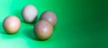 Abstract picture at Easter, four eggs not lying in one sharpness plane on a green background, darkening from left to right Royalty Free Stock Photo