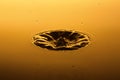 Abstract picture of fallen water drop with splash and ripples on nice gradient orange yellow background Royalty Free Stock Photo
