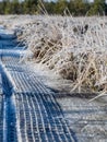 Picture with frosted boardwalk and marshes and shadows, suitable for background