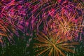 Abstract picturesque firework with multicolored glowing sparks. Bright holiday background