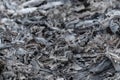 Abstract pile of ashes after the fire went out. Burning wood ash background and texture