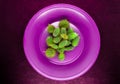Abstract. Pile of Small Cactus in Purple, Pink Plate on Burgundy Color Stone Background Surface