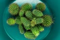 Abstract. Pile of Small Cactus in Soft Green Plate