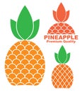 Abstract Pineapple. Icon