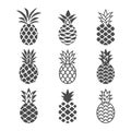 Abstract pineapple icons set in white and black color. Royalty Free Stock Photo