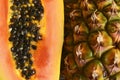Abstract pineapple and papaya background texture.Papaya and pineapple tropical fruits close up.