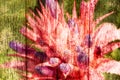 Abstract pineapple pink flowers