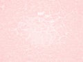 Baby Pink grunge background texture.Pink background with faint vintage texture. Royalty Free Stock Photo