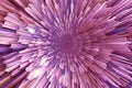 Abstract pink background with radial, radiating and converging lines Royalty Free Stock Photo