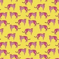 Abstract Pink cheetah pattern on yellow background