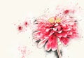 Abstract pink colorful shape on flower blooming watercolor illustration painting.