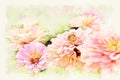 Abstract pink colorful shape on flower blooming watercolor illustration painting.