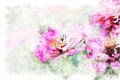 Pink colorful shape on flower blooming watercolor illustration painting background. Royalty Free Stock Photo
