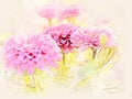 Abstract pink colorful shape on flower blooming watercolor illustration painting. Royalty Free Stock Photo