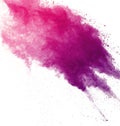 Abstract pink dust explosion on white background. abstract colored powder splatted on white background, Freeze motion of pink powd