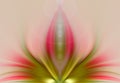 Abstract pink flower. Energy, chakra, meditation - concept