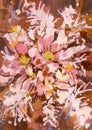 Abstract pink flowers with acrylic painting style