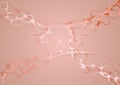 Abstract pink gold Women`s Day fluid waves vector background.