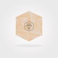 Abstract pink gradient triangle pattern inside hexagon shape and gem icon with shadow design element on light gray