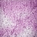 Abstract pink grunge background Royalty Free Stock Photo