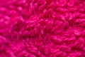 abstract pink photo of a material