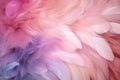 Abstract Pink and Purple Feathers Background