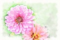 Abstract pink shape colorful flower blooming watercolor illustration painting Royalty Free Stock Photo